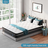 TeQsli Gel Individually Pocket Sprung King Mattress 5FT with Soft Fabric, 10 Inch Hybrid Mattress King for Pressure & Back Pain Relief, Medium Firm Mattress in a Box-150x200x25cm TeQsli