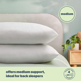 Silentnight Anti-Allergy Pillows 2 Pack – Soft Medium Support Anti Bacterial, Bed Hotel Pillows for Back, Stomach and Side Sleepers, White Silentnight