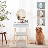 ARTETHYS Dressing Table Set with LED Lights Mirror, Vanity Makeup Table Set with Adjustable Brightness Mirror, 1 Drawer, Cushioned Stool and Free Make-up Organizer, White Grey, Oval ARTETHYS