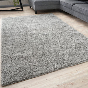THE RUGS Living Room Rug - Shaggy Soft And Elegant Carpets For The Bedrooms And Kitchen, Easy To Clean, Many Different Sizes (120x170 cm, Grey) THE RUGS