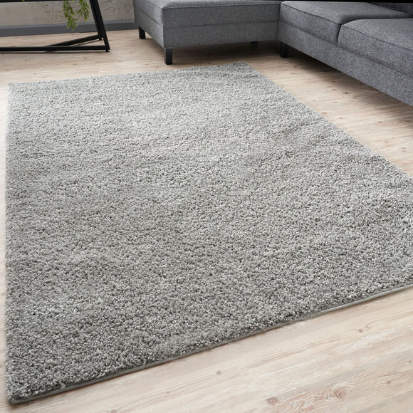 THE RUGS Living Room Rug - Shaggy Soft And Elegant Carpets For The Bedrooms And Kitchen, Easy To Clean, Many Different Sizes (120x170 cm, Grey) THE RUGS