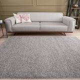 THE RUGS Living Room Rug - Shaggy Soft And Elegant Carpets For The Bedrooms And Kitchen, Easy To Clean, Many Different Sizes (120x170 cm, Grey) THE RUGS