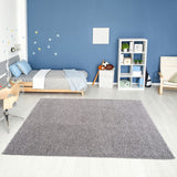 THE RUGS Living Room Rug - Shaggy Soft And Elegant Carpets For The Bedrooms And Kitchen, Easy To Clean, Many Different Sizes (120x170 cm, Grey) THE RUGS