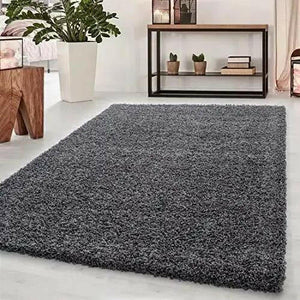 Abaseen Shaggy Modern Rug in 12 Different Colours - We Love Our Beds